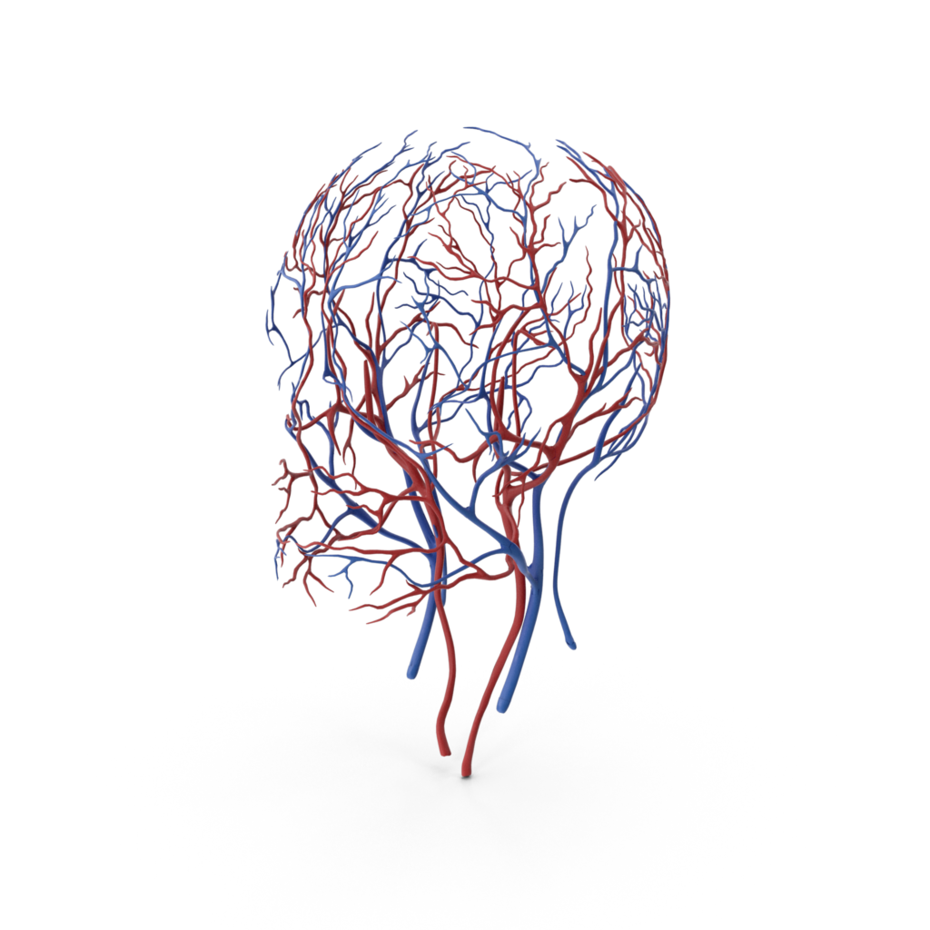 Neurologie clinique pasteur