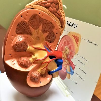 february-14th-2022-08-01-01-23-35-utc